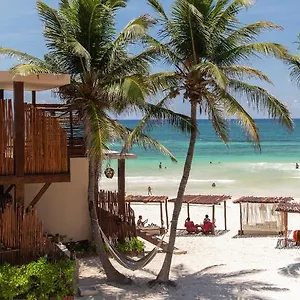 La Zebra A Colibri Boutique Hotel Tulum