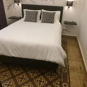 https://zocalo-increible.hotelspuebla.com